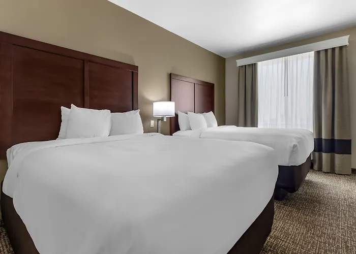 Comfort & Worth West I-30 Nas Jrb 4* Fort Worth